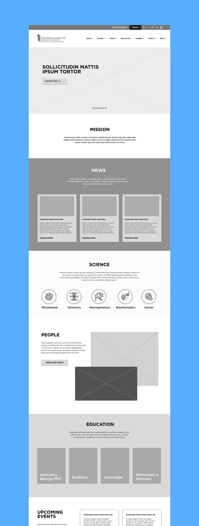 IGS Wireframes