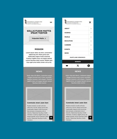 IGS Mobile Wireframes
